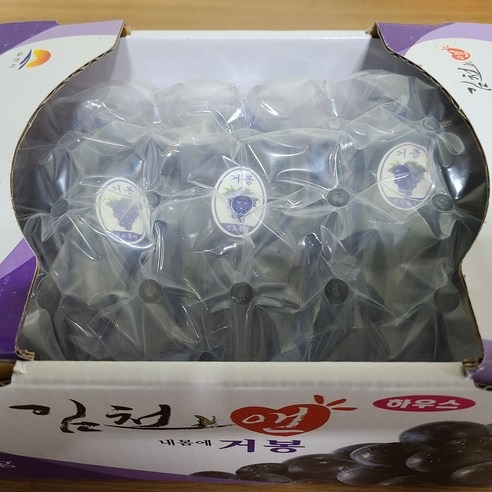 포도 씨없는 거봉 고당도 김천 산지직송 후기