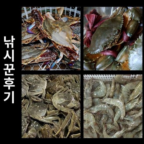 통발 그물망 꽃게 참게 어망 쭈꾸미 잡이 활용법