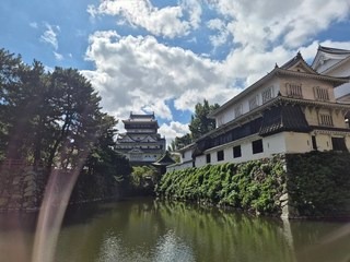 엔화 환율 전망 여행 전 꼭 볼 포인트