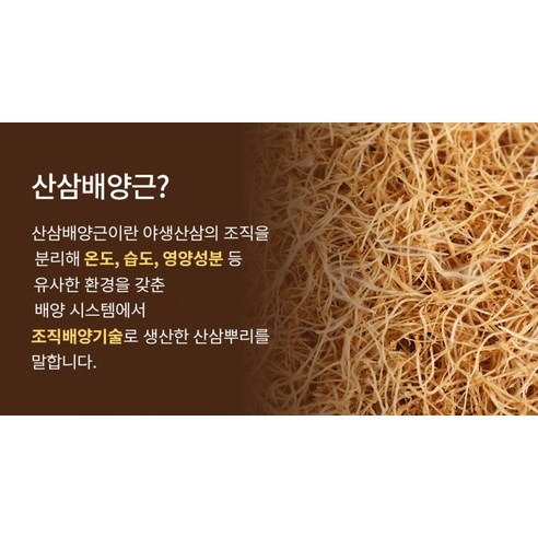 한삼인 산삼배양근 골드 1L 1개 선물 고르기